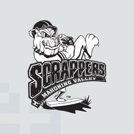 Mahoning valley scrappers 1